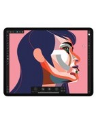 Apple iPAD PRO 4 Generazione